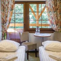 Двухместный (Economy Twin Room with small Bathroom) отеля Patio Zajazd, Катовице