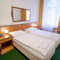 Двухместный (Двухместный номер Делюкс с 1 кроватью или 2 отдельными кроватями) отеля Brezina Pension, Прага