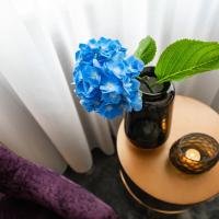 Сьюит (Люкс) отеля NIPPON HOTEL Hamburg, Гамбург