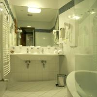 Двухместный (Специальное предложение - Двухместный номер с 1 кроватью, дополнительной кроватью и пакетом оздоровительных спа-услуг) отеля Venus, Карловы Вары