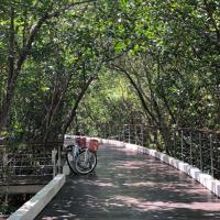Двухместный (Полулюкс Делюкс Palafitos - В стоимость входит комплекс водных процедур.) курортного отеля Blue Diamond Luxury Boutique - All Inclusive Adults Only, Плая-дель-Кармен
