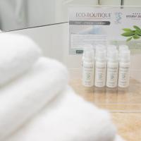 Двухместный (Двухместный номер Делюкс с 1 кроватью и балконом, доступ в спа-центр) отеля Hotel International, Синая