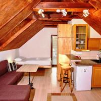 Апартаменты (Апартаменты с террасой) апарт-отеля Apartments Villa Ivica, Братислава