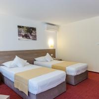 Двухместный (Двухместный номер/номер Твин бизнес-класса с балконом) отеля Hotel Herastrau, Бухарест