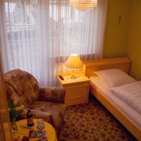 Одноместный (Одноместный номер) гостевого дома Hotel Garni Regina with garden, Нюрнберг