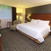 Двухместный (Номер с кроватью размера "king-size" - Для некурящих) отеля Holiday Inn Mexico City - Trade Center, Мехико