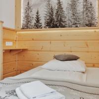 Одноместный (Одноместный номер - Бесплатный доступ в спа-центр) отеля Willa Swoboda, Закопане