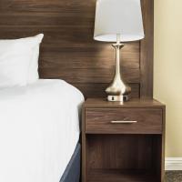 Двухместный (RK SINGLE KING ROOM) отеля Serene Vegas Boutique Hotel, Лас-Вегас