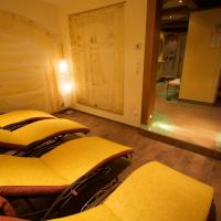 Одноместный (Одноместный номер) гостевого дома Hotel Landhaus Carla, Майрхофен