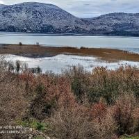 Номер (Дом для отпуска) отеля Holiday Home Lake, Подгорица