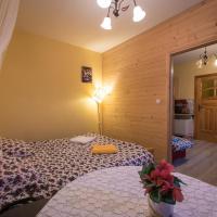 Апартаменты (Апартаменты с 2 спальнями) отеля Pensjonat Nowita, Закопане