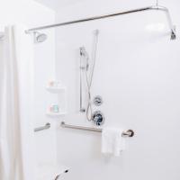 Двухместный (Люкс с кроватью размера «queen-size» и диваном-кроватью, подходит для гостей с ограниченными физическими возможностями) отеля Ocean Reef Suites, Майами-Бич