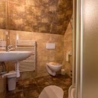 Двухместный (Большой двухместный номер с 1 кроватью) отеля Pensjonat Nowita, Закопане