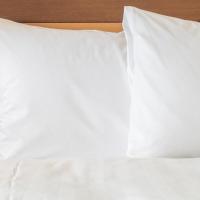 Двухместный (Номер Делюкс) курортного отеля Holiday Inn Club Vacations at Desert Club Resort, an IHG Hotel, Лас-Вегас