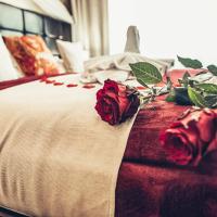 Двухместный (Номер Делюкс с кроватью размера «king-size») отеля Alfons Boutique Hotel, Прага