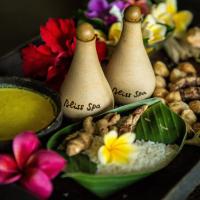 Двухместный (Специальное предложение - Номер Делюкс «Сад» с пакетом услуг «Йога и спа-процедуры») отеля Bliss Ubud Spa Resort, Убуд