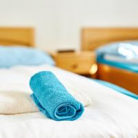 Двухместный (Стандартный двухместный номер с 1 кроватью или 2 отдельными кроватями и видом на сад) гостевого дома Penzion Kozí Horka u Brněnské přehrady, Брно