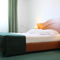 Двухместный (Стандартный двухместный номер с 1 кроватью) отеля Hotel Sir Orhideea, Бухарест