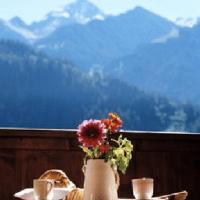 Апартаменты (Апартаменты) отеля Hotel Garni Glockenstuhl, Майрхофен