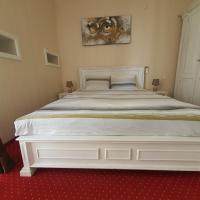 Вилла (Улучшенная вилла) виллы Vilo's House, Бухарест