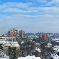 Двухместный (Стандартный двухместный номер с 1 кроватью) отеля Hotel Villa Panorama, Белград