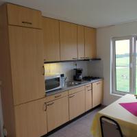 Апартаменты (Апартаменты (для 4 взрослых)) отеля Hotel Orion, Амстердам