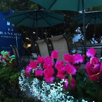 Четырехместный (Двухместный номер эконом-класса с 2 двуспальными кроватями) мотеля El Rancho Motel, Сан-Диего