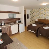 Студио (Номер-студио) апарт-отеля Predela 2 Aparthotel, Банско