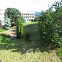 Двухместный (Стандартный двухместный номер с 1 кроватью и балконом) отеля Suza, Братислава