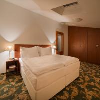 Двухместный (Двухместный номер с 1 кроватью) отеля EA Elefant, Карловы Вары