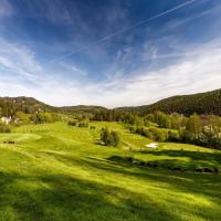 Двухместный (Специальное предложение - Улучшенный двухместный номер с 1 кроватью, балконом, видом на лес и правом безлимитной игры в гольф) отеля Wellness Hotel & Golf Resort Cihelny, Карловы Вары