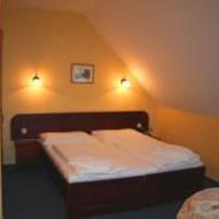 Двухместный (Стандартный двухместный номер с 1 кроватью или 2 отдельными кроватями) отеля U Stare Pani - At the Old Lady, Прага