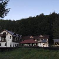 Одноместный (Одноместный номер) гостевого дома Conacul Dascalu, Синая