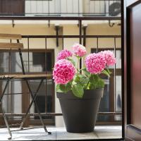 Апартаменты (Апартаменты с 1 спальней и видом во внутренний двор - Улица Sławkowska 23) апартаментов Antique Apartments Old Town, Краков