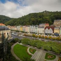 Одноместный (Одноместный номер Делюкс) отеля Interhotel Central, Карловы Вары