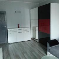 Двухместный (Двухместный номер с 1 кроватью) семейного отеля Apartament Wenecja, Торунь