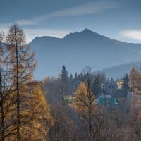 Двухместный (Двухместный номер с 1 кроватью и мини-кухней) апартаментов Willa Gardenia, Закопане