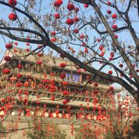 Двухместный (Номер с кроватью размера «queen-size») отеля Merlinhod Hotel Xi'an (Formerly Meihua-Goldentang , Сиань