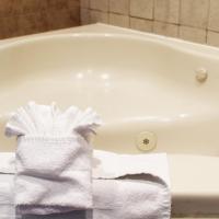 Двухместный (Номер с кроватью размера "king-size" и гидромассажной ванной - для некурящих) отеля Hotel Iris - Mission Valley-San Diego Zoo-SeaWorld, Сан-Диего