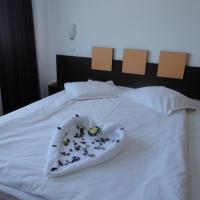 Двухместный (Стандартный номер с кроватью размера "queen-size") отеля Arion Hotel, Констанца