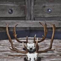 Сьюит (Семейный люкс) отеля Siggesta Gård, Стокгольм