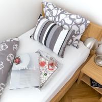 Одноместный (Одноместный номер с основными удобствами и общей ванной комнатой) отеля Bed and breakfast Placzek, Брно