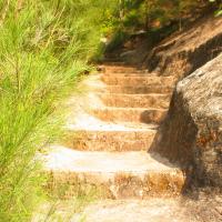 Двухместный (Двухместный номер с 1 кроватью с видом на море) отеля Seashore Beach Resort Varkala, Варкала