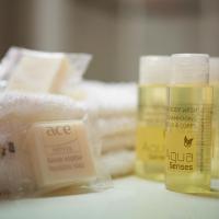 Трехместный (Трехместный номер) отеля Ace Hôtel Paris Marne La Vallée, Серри