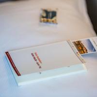 Одноместный (Дизайнерский одноместный номер) отеля Dasbreitehotel am Rhein, Базель