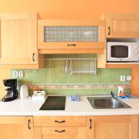 Апартаменты (Апартаменты с 1 спальней) гостевого дома SKLEP, Прага