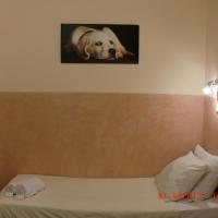 Одноместный (Одноместный номер) отеля Budget Hotel Neutraal, Амстердам