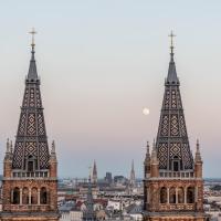 Апартаменты (Rooftop Apartment  (East View)) апартаментов Skyflats Vienna, Вена