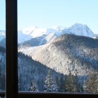 Апартаменты (Апартаменты с видом на горы) апартаментов Holiday Home Krzysztoforow, Закопане